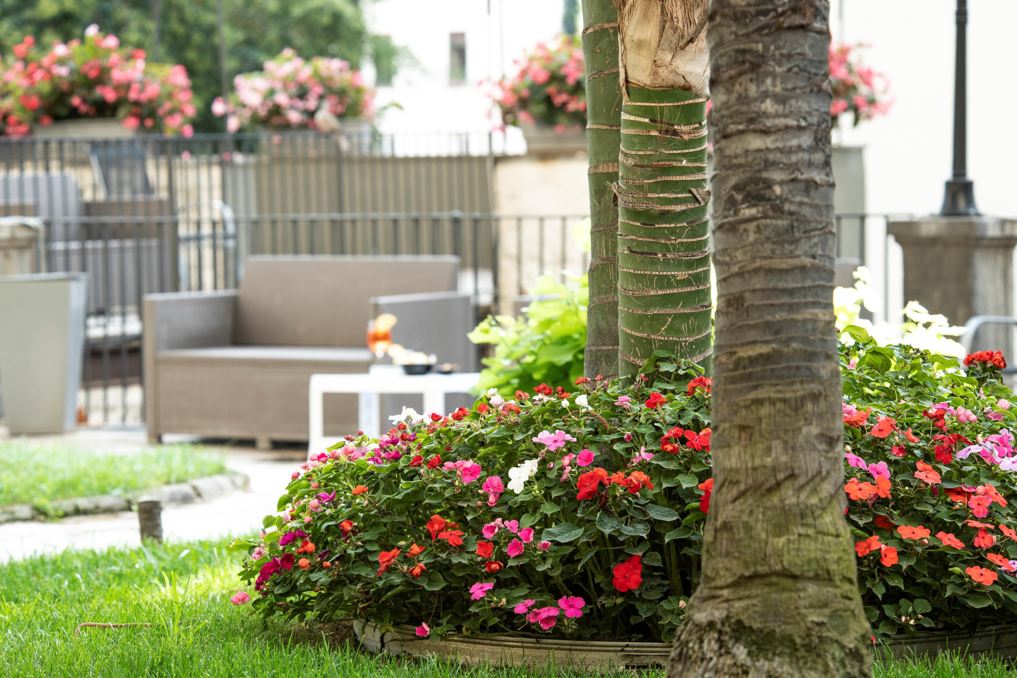Villa Elisio Hotel & Spa Νάπολη Εξωτερικό φωτογραφία